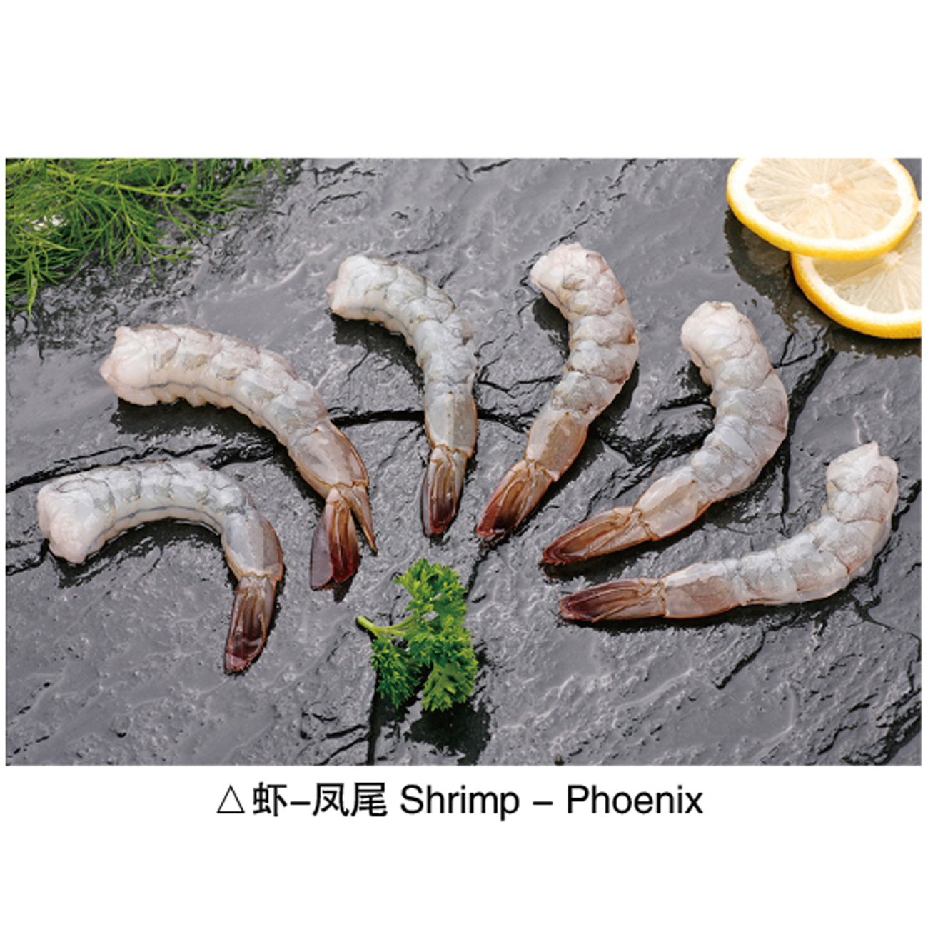 Shrimp